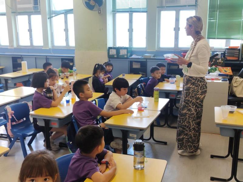 STEM in English